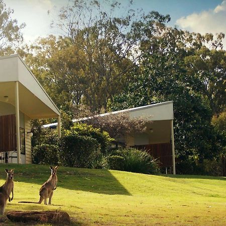 Boonah Valley Motel Eksteriør billede