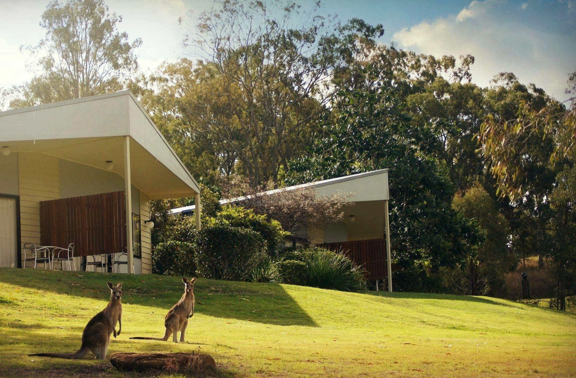 Boonah Valley Motel Eksteriør billede